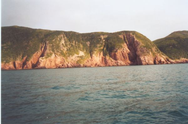 583: Red Island. "Stony". (2002) [courtesy of Heather Walsh]